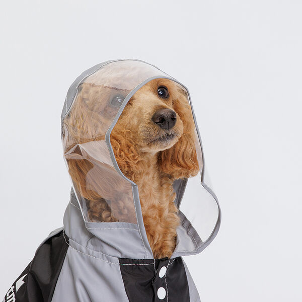 Дождевик Petmax серый с капюшоном 2XL