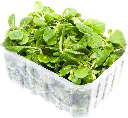 Салат Корн 125 г