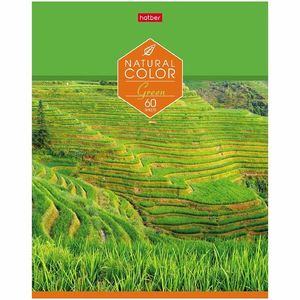 Тетрадь Hatber Color общая А5 в клетку 60л, в ассортименте