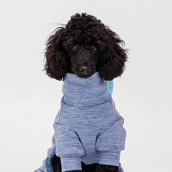 Костюм флисовый для собак и кошек, M, синий