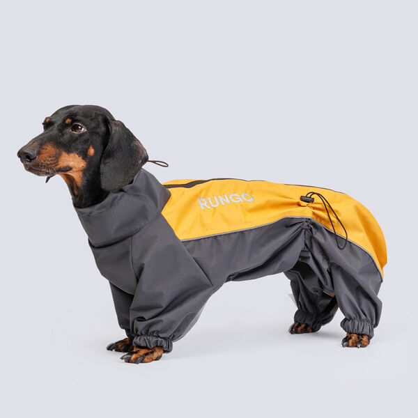 Дождевик Rungo Такса большая девочка горчица