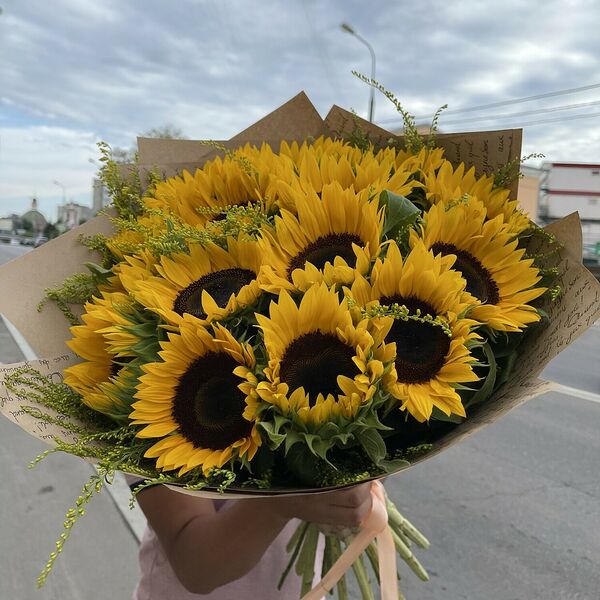 Подсолнух солнечный