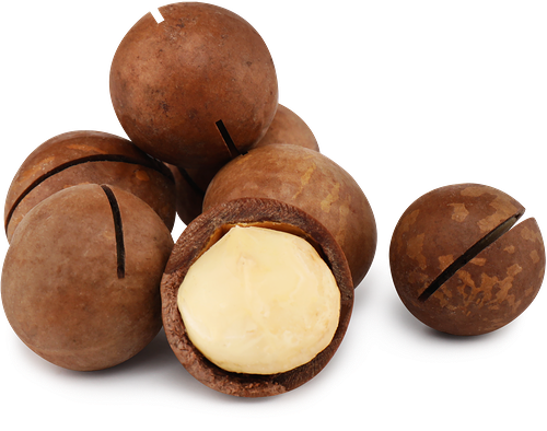 Орех Макадамия в скорлупе вес