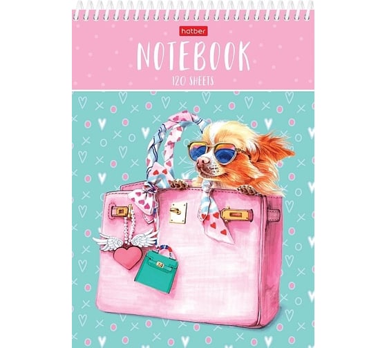 

Блокнот Hatber Fashion dog-чихуахуа 120л, А5, на спирали