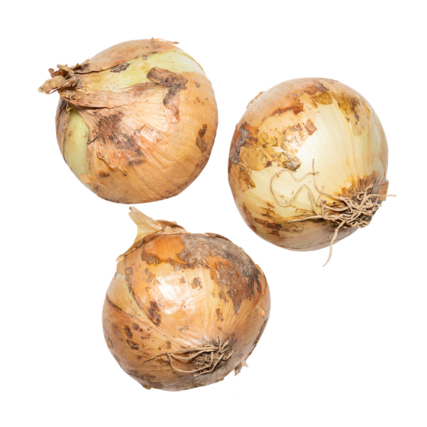 Лук репчатый молодой кг