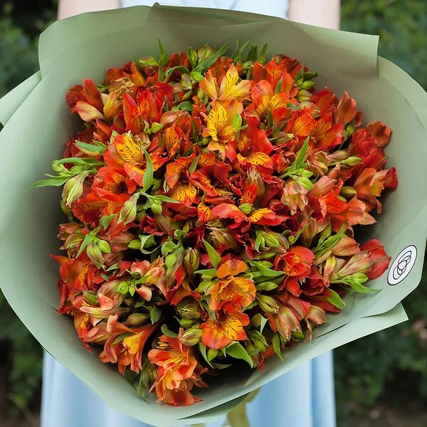 Букет из 25 оранжевых альстромерий в зеленой пленке