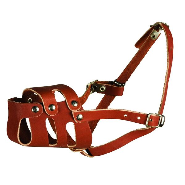 Каскад Намордник кожаный цельнокроеный № 4, цвет в ассортименте