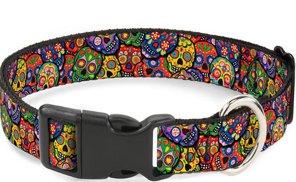 Buckle-Down ошейник 