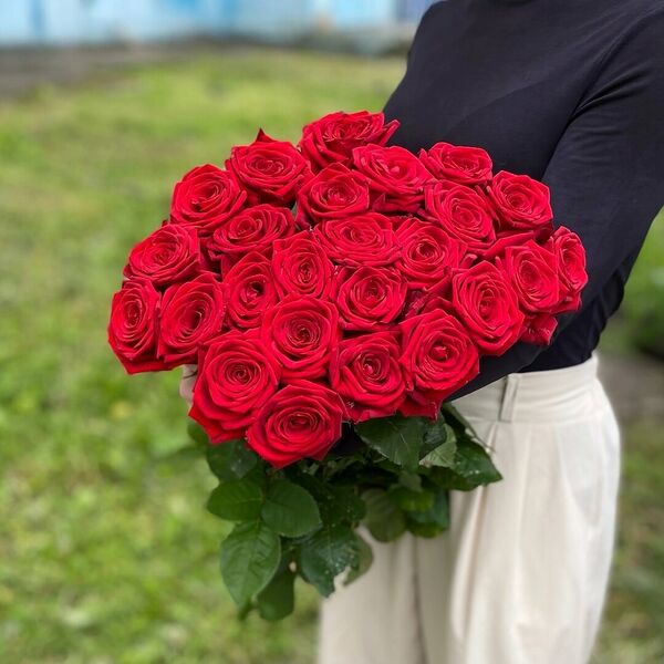 Ред Наоми - 27 шт