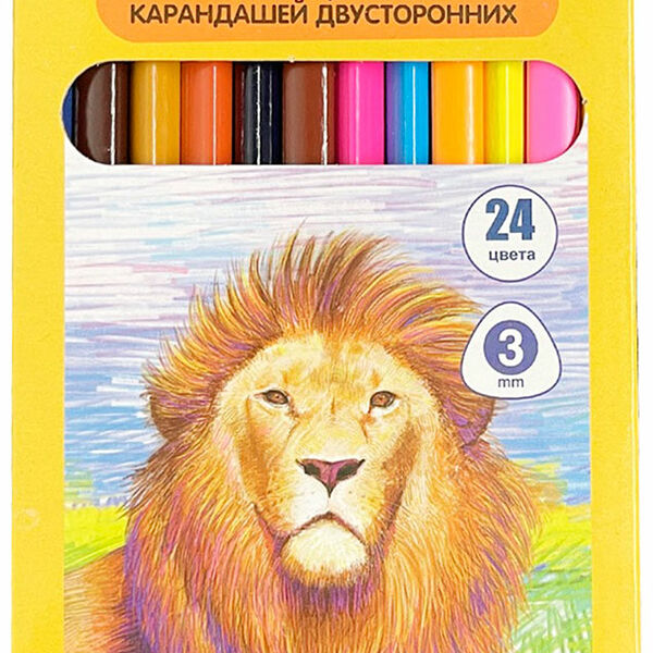 Набор цветных карандашей Wow Play 2-х сторонних 3-х гранных 12шт