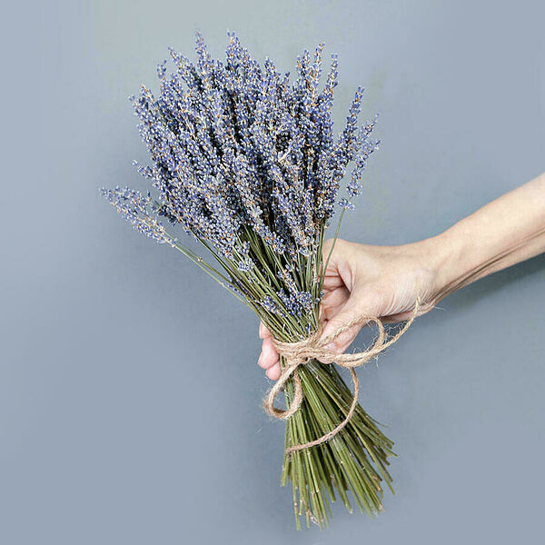Монобукет из Лаванды под ленту №1