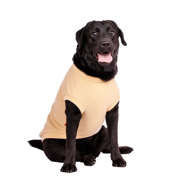 Толстовка для собак 2XL бежевый (унисекс)