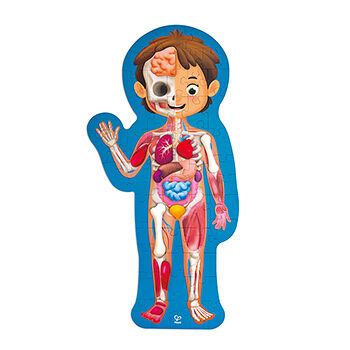 Пазл детский «Как устроено тело человека», Hape, 60 элементов, Швейцария