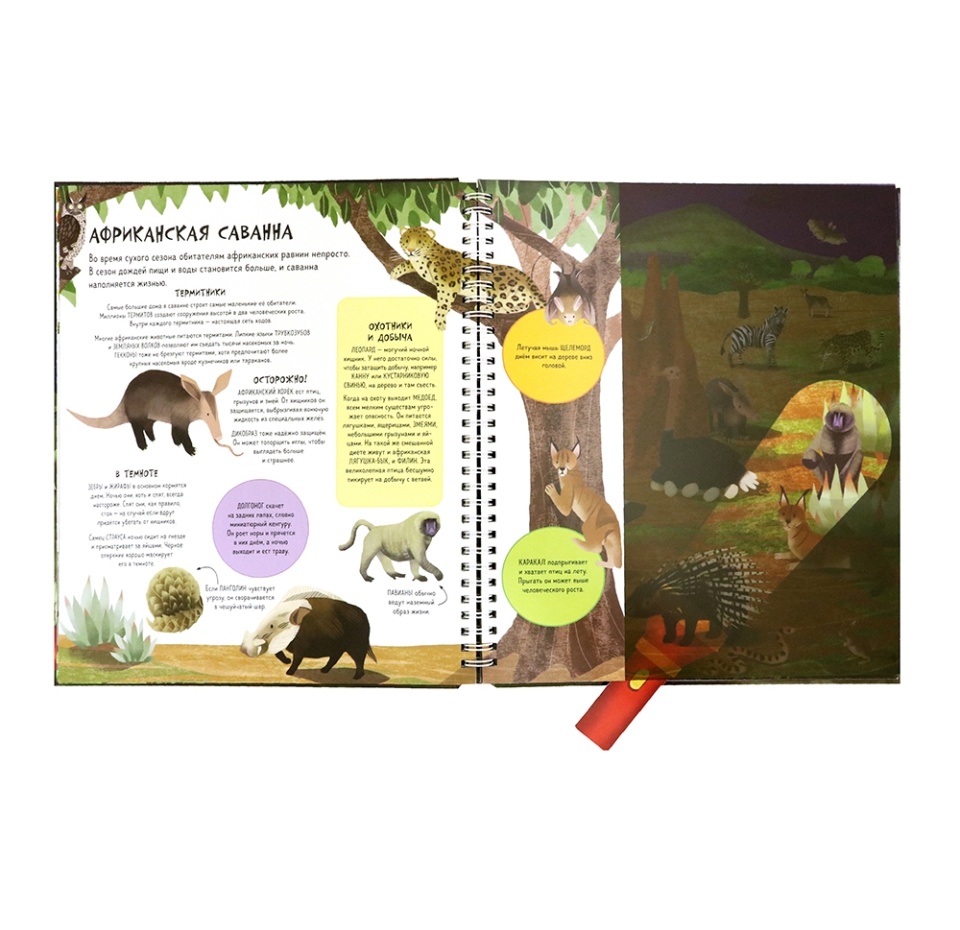 

Книга "Волшебный фонарик", "Ночной мир", Риган Лиза, Польша