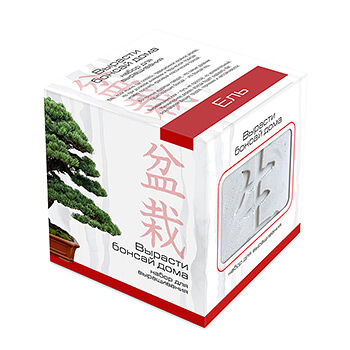 Подарочный набор Вырасти Бонсай дома. Ель В дизайнерском кубике ручной работы, Россия