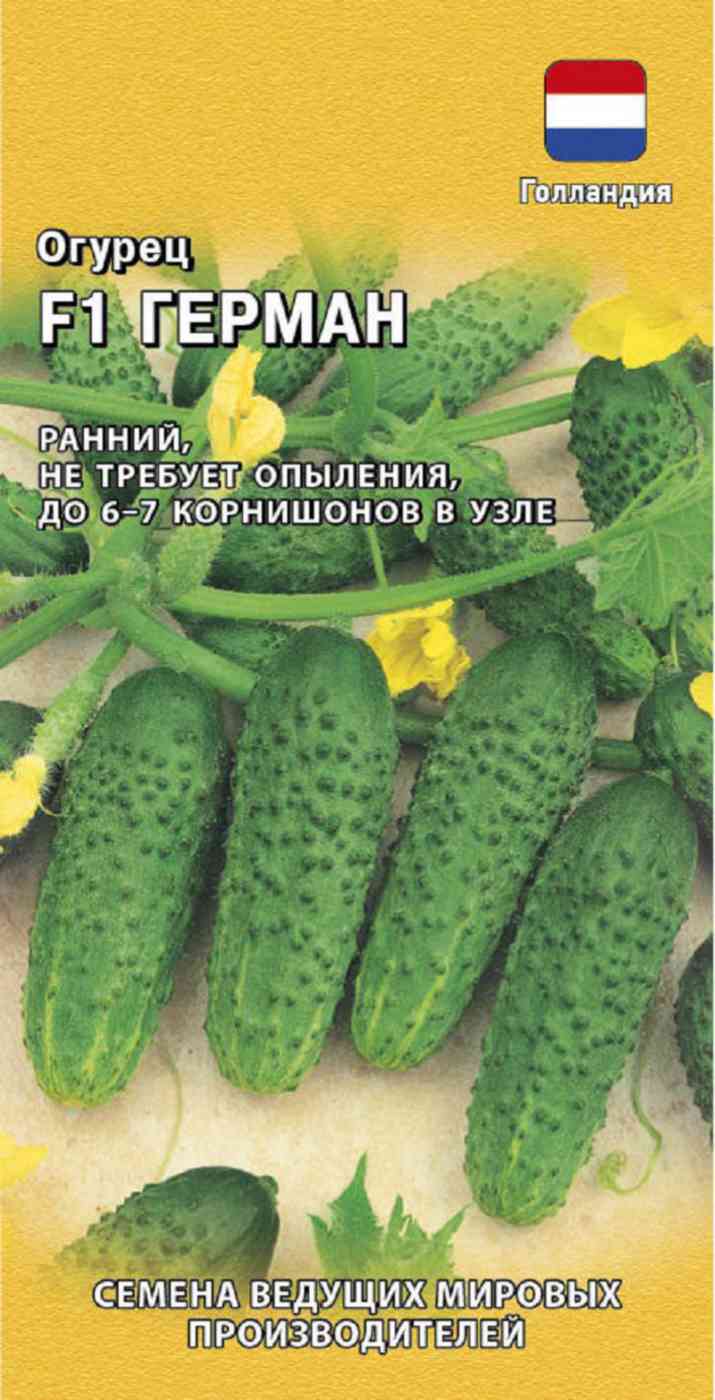 

Огурец корнишон Герман F1 Гавриш, 5 шт.