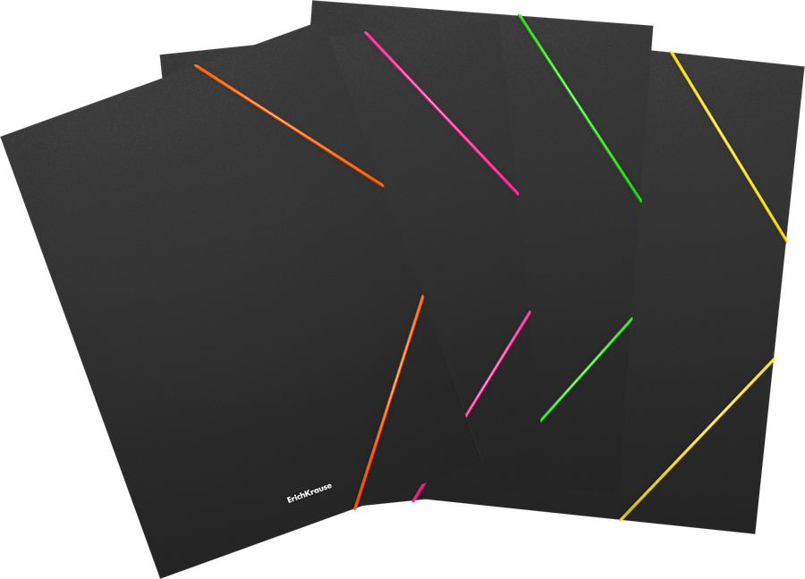 

Папка ERICH KRAUSE Matt Accent A4 пластиковая, на резинках в ассортименте, 1 шт