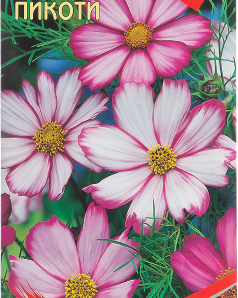 Семена Дом Семян космея Пикоти
