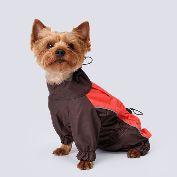 Дождевик с мембраной и водонепроницаемой застежкой для йорка и чихуа, M, коралл (девочка)