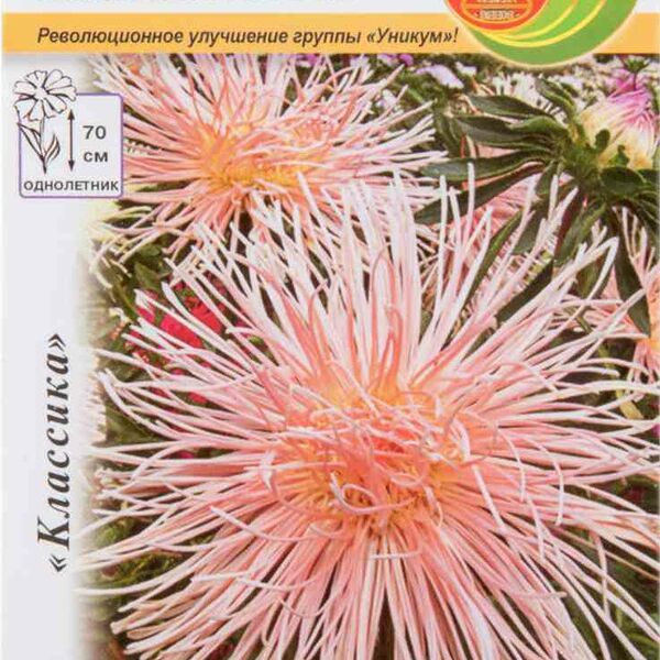 Астра Унилюкс Золотая рыбка Русский Огород Классика