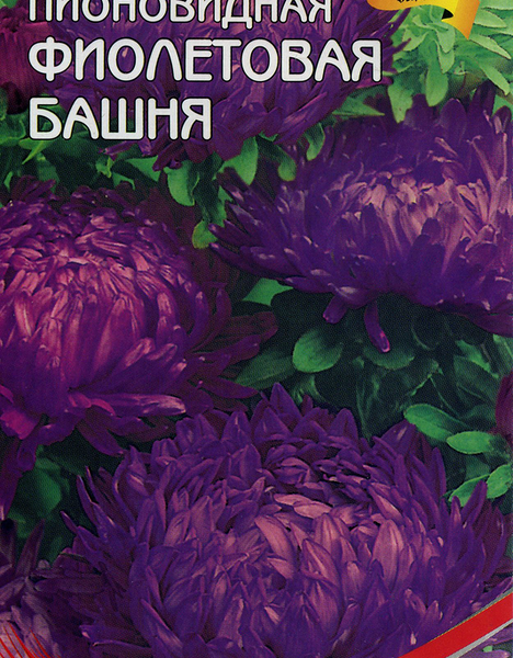 Семена HEM ZADEN Астра пионовидная Фиолетовая башня