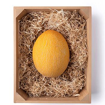 Дыня Гуляби