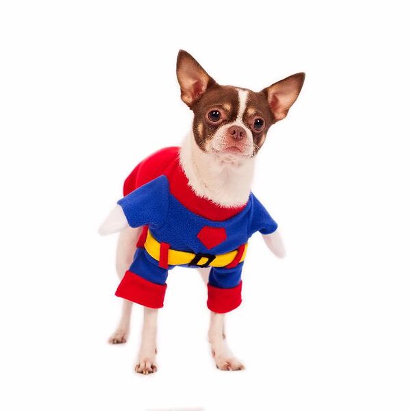 Костюм карнавальный для собак Супер Мен XL синий (мальчик)