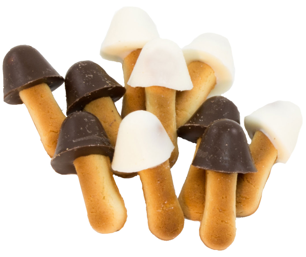 Печенье Ванюшкины сладости Опята в глазури