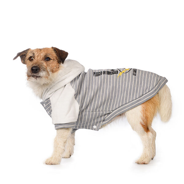 Толстовка для собак L голубой (унисекс)