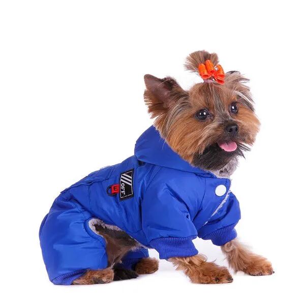 Комбинезон с карманом для собак XS синий (унисекс)