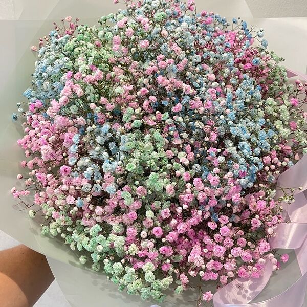 Букет из ярких гипсофил