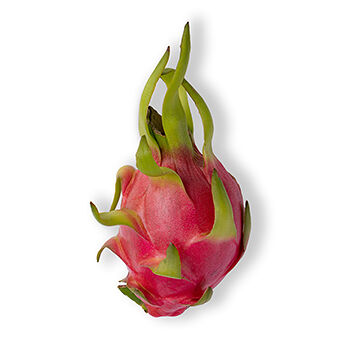 Питахайя красная с белой мякотью