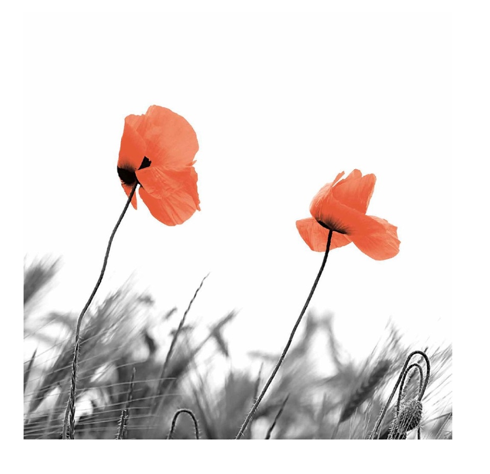 

Салфетки бумажные Paper+Design Two poppies 3 слоя 33 см 20 шт.