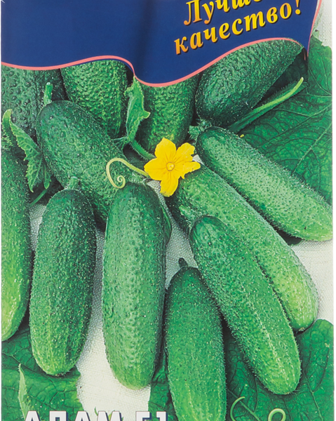 Семена микс BEIO ZADEN Огурец Адам F1 и Амур F1