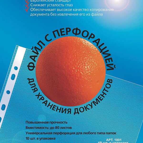 Файл с перфорацией для хранения документов 10 шт 