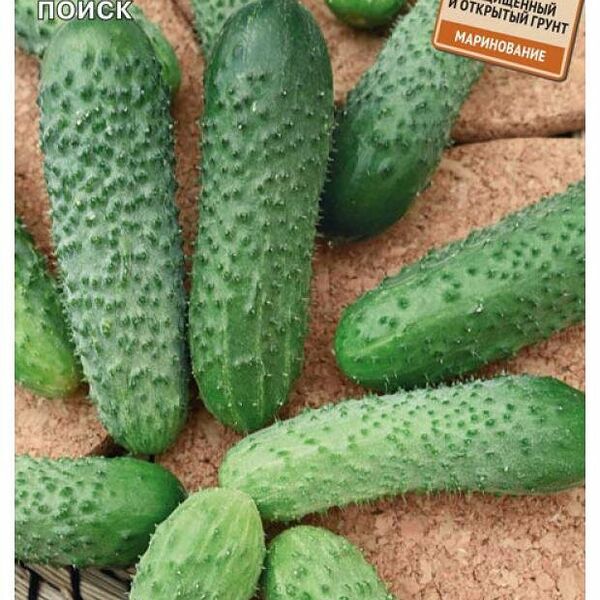 Семена огурец Экспресс F1 12 шт ТМ Поиск