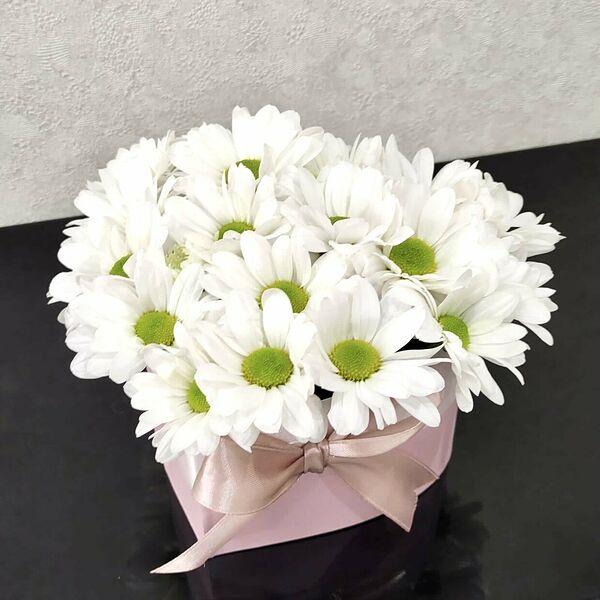 Ромашковое сердце