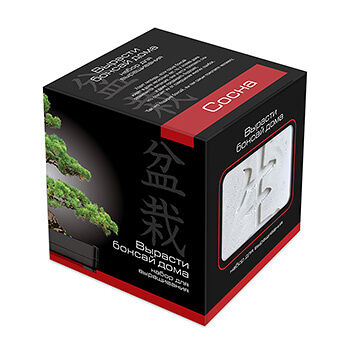 Подарочный набор Вырасти Бонсай дома. Сосна в дизайнерском кубике ручной работы, Россия