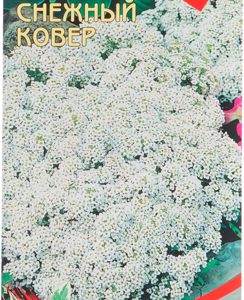Семена Алиссум однолетний Снежный ковер
