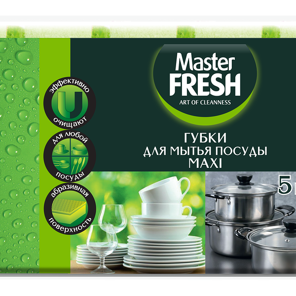 Губка для посуды Master Fresh Maxi 5 шт.