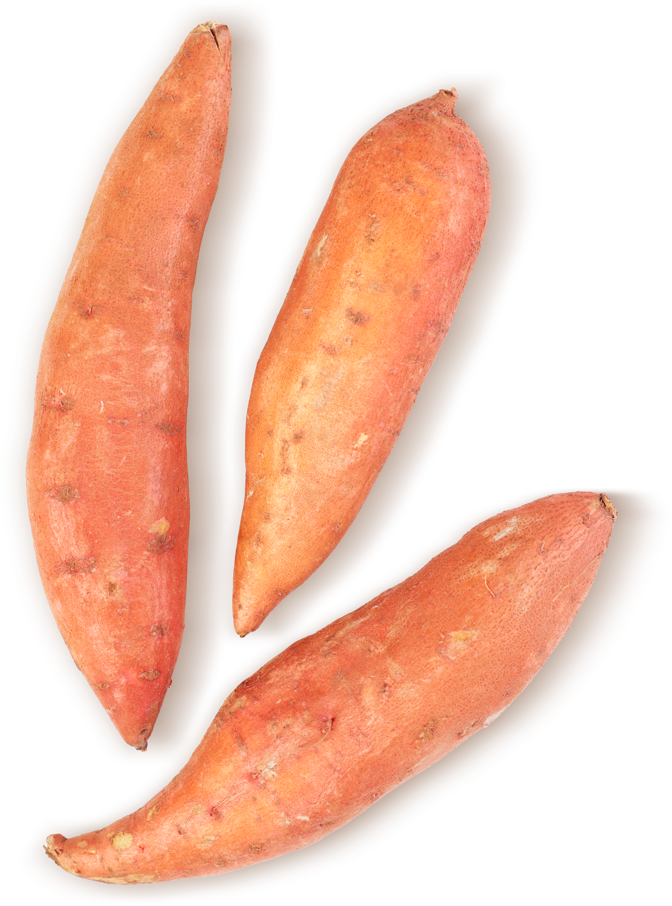 

Батат