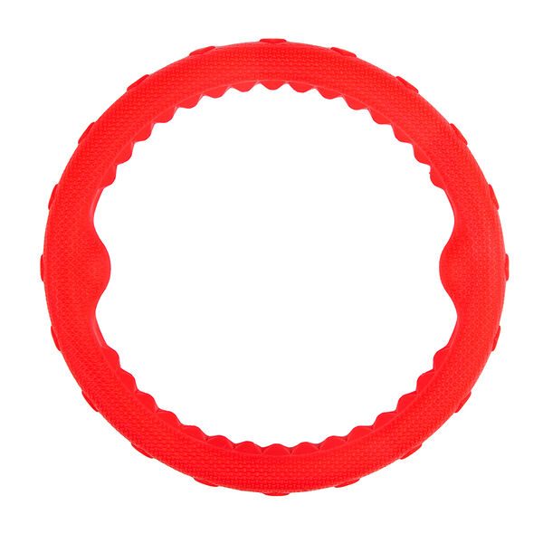 Игрушка для собак Кольцо плавающее большое 24,5 см в ассортименте