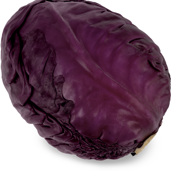 Капуста  краснокочанная вес до 2.0 кг