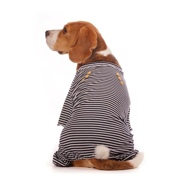 Костюм трикотажный для собак S синий (унисекс)