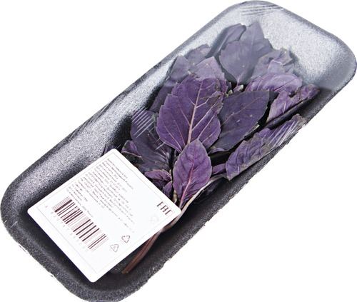 

Базилик красный свежий 20 г