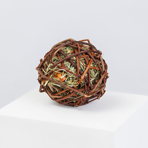 Лакомство для грызунов Ивовый шар с сеном, яблоком и шиповником, d 10 см