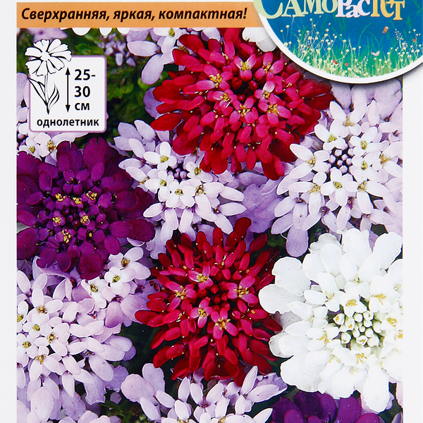 Семена Русский огород Само растет, Иберис Конфетти, смесь, 0.1 г