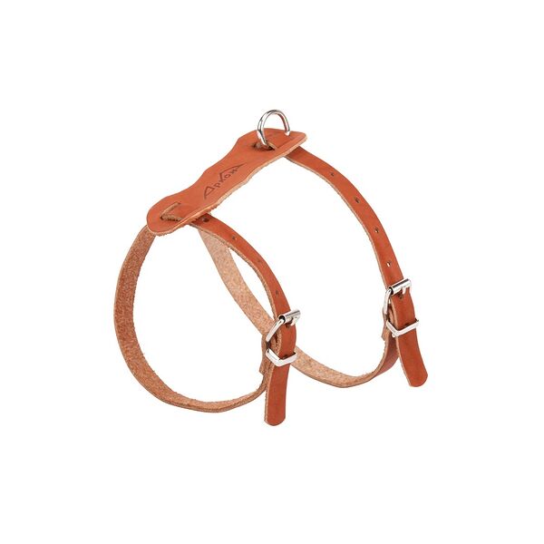 Шлейка Аркон Люкс коньячный для собак (36-45 см)