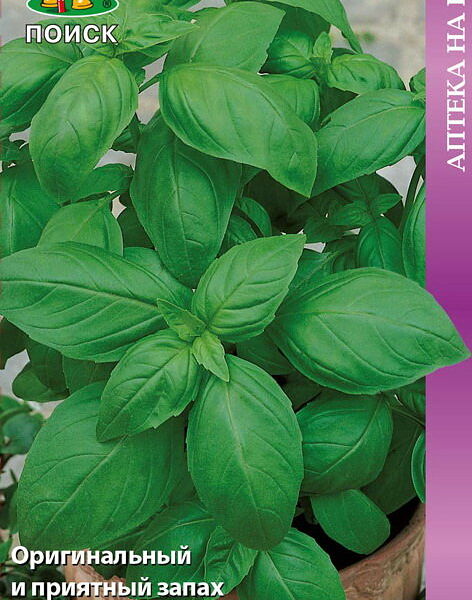 Семена базилик Овощной тонус ТМ Поиск