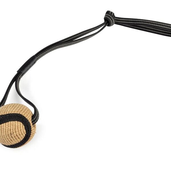 Игрушка для собак Мяч джутовый для дрессировки с длинной ручкой, d=7 см CAMON, 244г